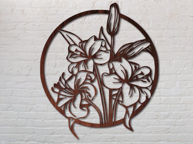 Orchidea körkeretben